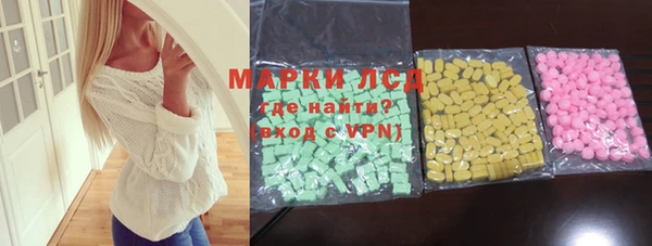прущие грибы Инта