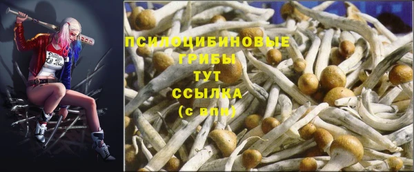 прущий лед Абдулино