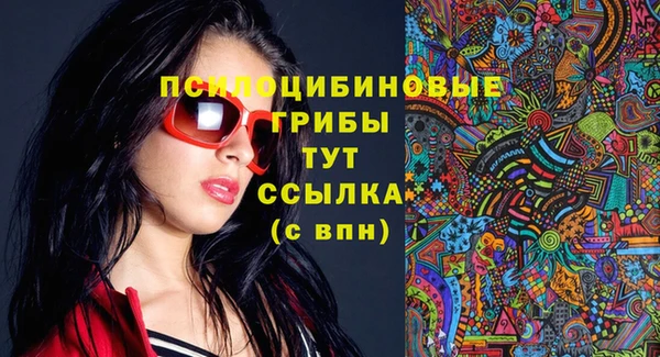 МДПВ Вяземский