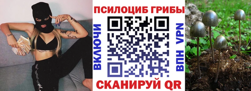 Псилоцибиновые грибы MAGIC MUSHROOMS  Аксай 