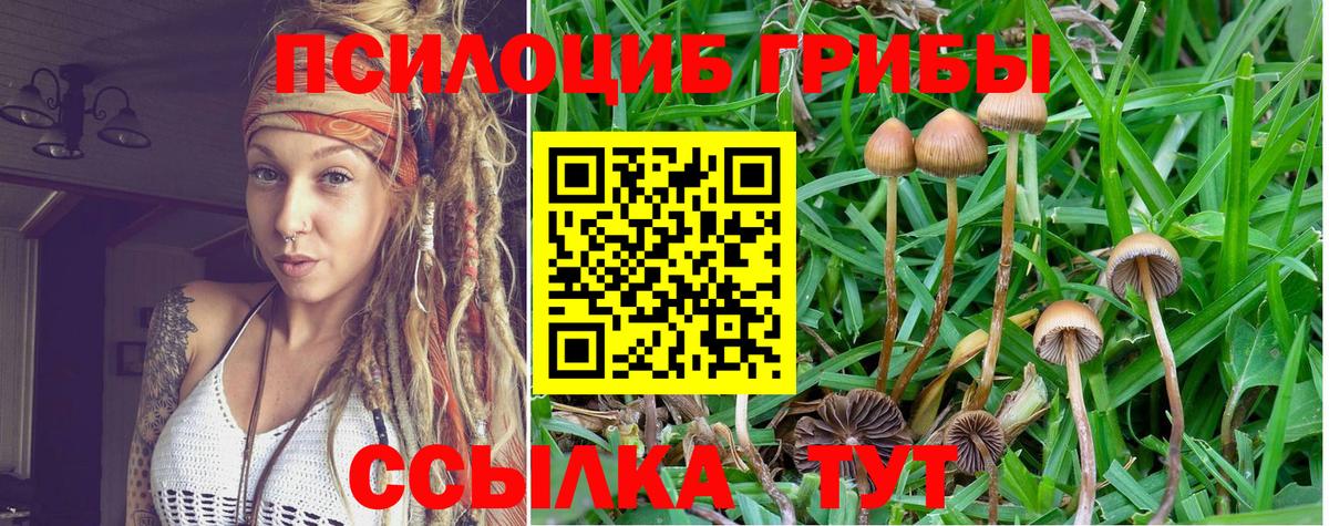 Псилоцибиновые грибы MAGIC MUSHROOMS Аксай