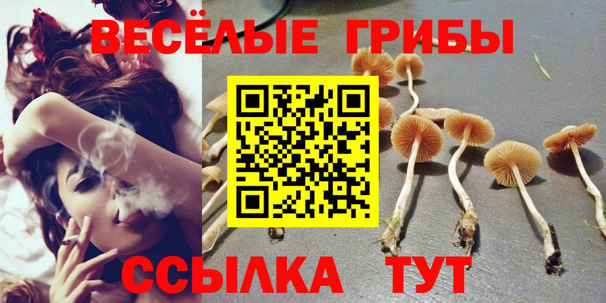 Аксай  Псилоцибиновые грибы мухоморы  Вход с VPN  Псилоцибиновые грибы Cubensis 